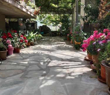 Skala Prinou Apartment | Patra Rooms Skala Prinou