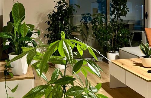 Dajt Apartment | Plant house