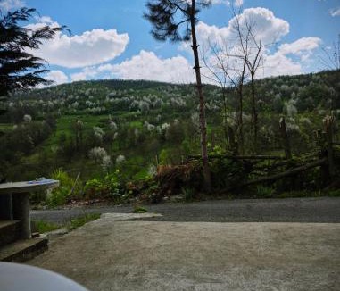 Prizren Apartment | Qingji Vila Reqan