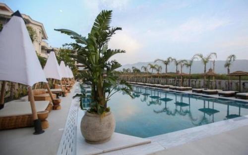 Orikum Apartment | Radhime Luxury Apartments sleeps 5
