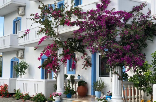 Shengjin Hotel | Romantika