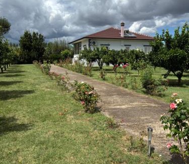 Sakës House | Rrozhani House