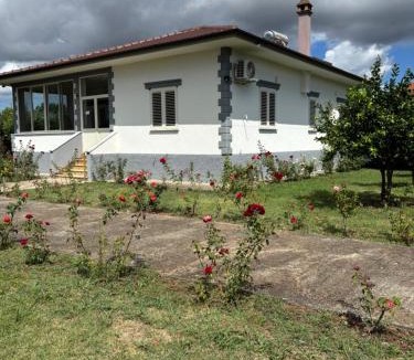 Sakës House | Rrozhani House