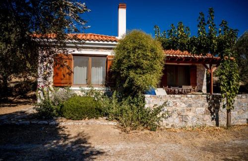 Mytilene House | Seafront Traditional Stone House in Sunset Olive Grove - B