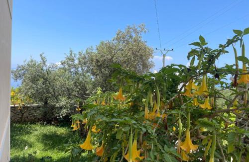 Dhermi Hotel | Season Inn