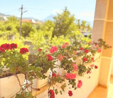 Berat Apartment | selamaj villa