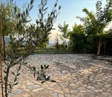 Otllak Apartment | Selim Guesthouse