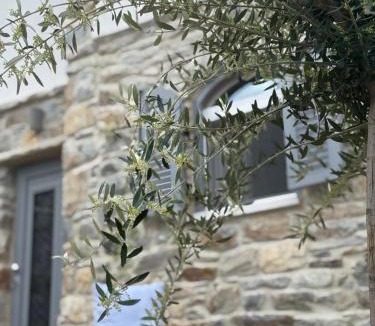 Naxos Apartment | Servena's Damarionas Village