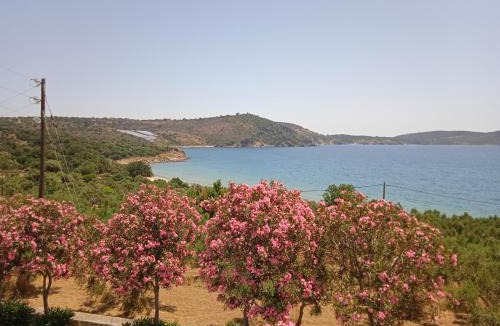 Skoutari Apartment | Skoutari Beach Hotel