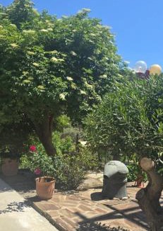 Armenistis House | SPITIKARIOTIKO My Ikarian home