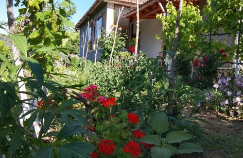 Sinje Apartment | Spring Village Home