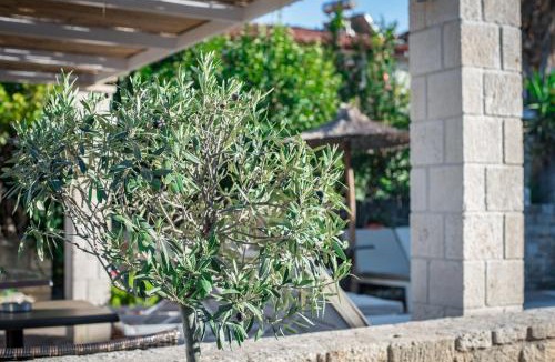 Afytos Hotel | Stamos Hotel