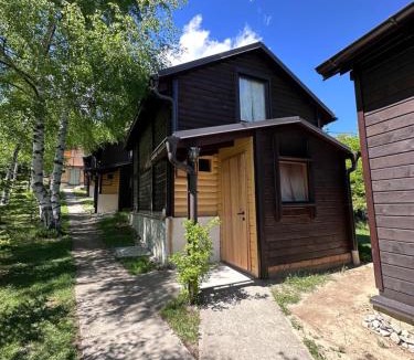 Hoçë e Qytetit House | Stanetestruzhes