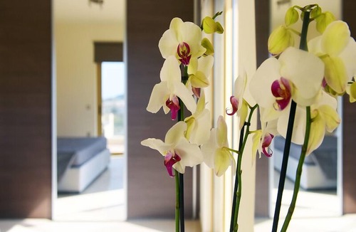 Kalavarda House | Stelia Luxury Apartments