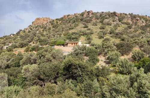 Vizari House | Stone House