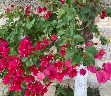 Kodrra Apartment | Sunny Apartament Saranda