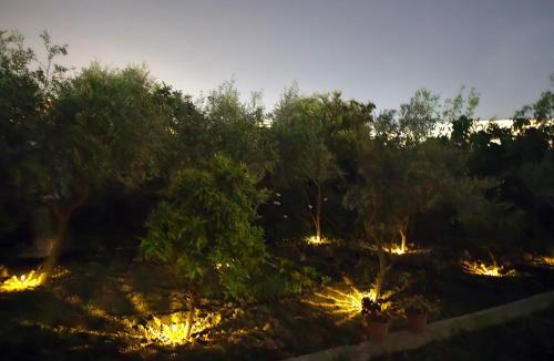Vlore Hotel | Sunny Breeze Hotel