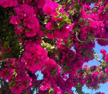 Sarande Apartment | Sunrise Villa Saranda