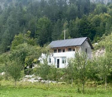 Valbone Bed & Breakfast | Tani guesthouse