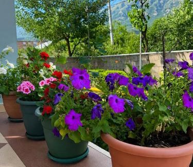 Permet House | Taos Guest House Permet