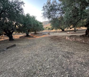 Molos House | Te Nana's Farm