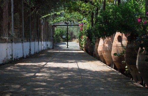 Kounelion Villa | Terre Cretoise Villa with private pool