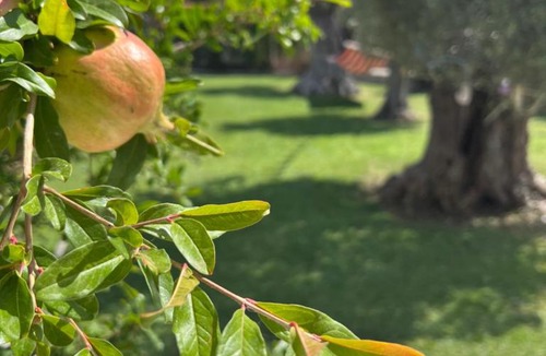 Makri House | Terrys Villa Makri