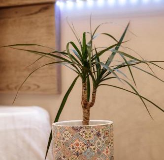 Veroia Apartment | The Clock House
