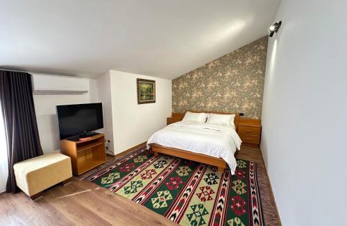 Tirana Apartment | The Doctor's Villa