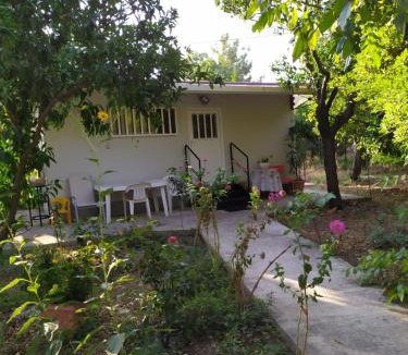 Agios Minas Apartment | The Green Garden in AGIA VASSA SMALL