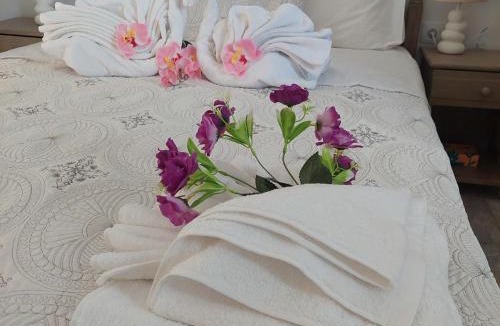 Chios Town Apartment | The Mastiha Spot 4