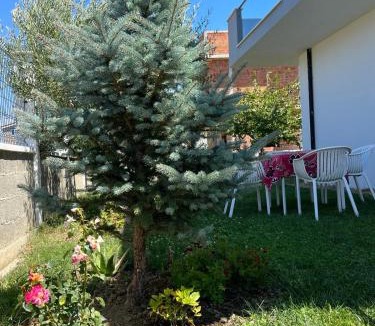 Qerek Apartment | The quiet place