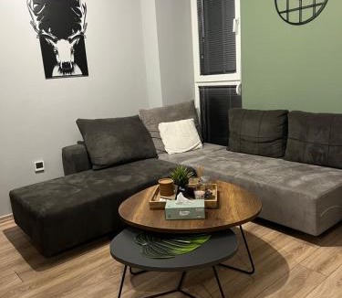 Restelicë Apartment | The Royal Pine Apartment Mavrovo