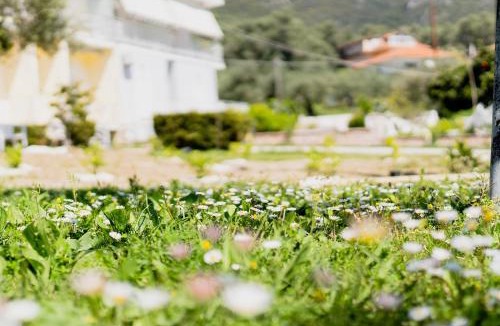 Parga Apartment | Theoni Garden