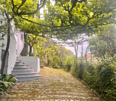 Gjirokaster Villa | Thimjos & Ritas Guesthouse