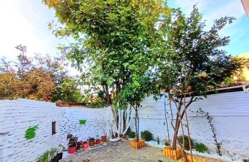 Tirana Apartment | Tirana bloom villa&Apartments