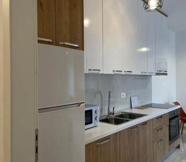 Kashar Apartment | Tirana Terminal Apartments