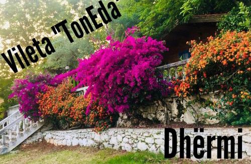 Dhermi Cabin | TONEDA Seaside Bungalows