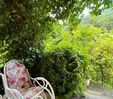 Elbasan Bed & Breakfast | Tre Bujtinat Gjinar