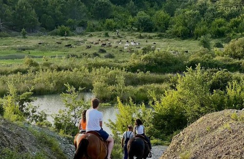Sakës Bed & Breakfast | Tringa Guesthouse - Mrizi i Zanave