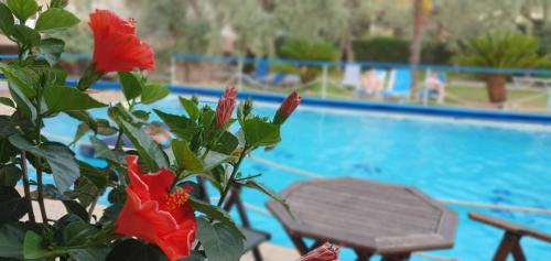 Kazaviti Hotel | TSIGOURA VERDE RESORT