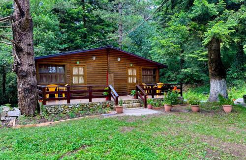 Orikum Cabin | Uji i Panjes Llogara