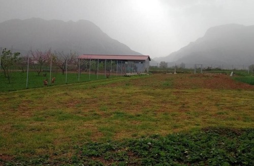 Palaiomonastiron Apartment | Unique Farm in Palaiomonastiro