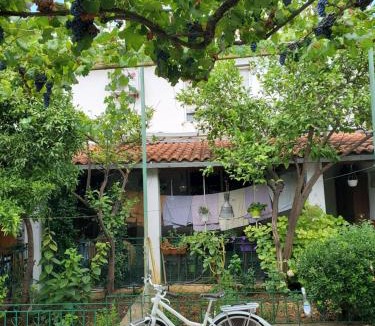 Tirana Villa | Unique Traditional House, hosted by J&G