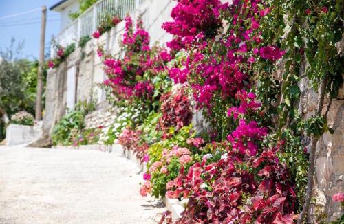 Borsh Hotel | Uzeiri Guest Hotel