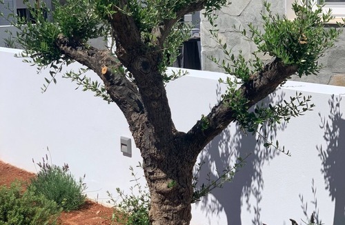 Pilalimata House | Vacation home for 4 guests with 80m² in Analipsis (164957)