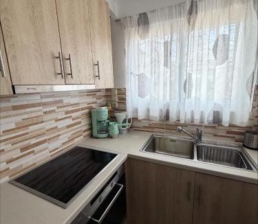 Pineios Apartment | Vasiliki's Apartments