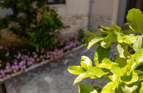 Radhime Apartment | Velora Blue Coast Apartment