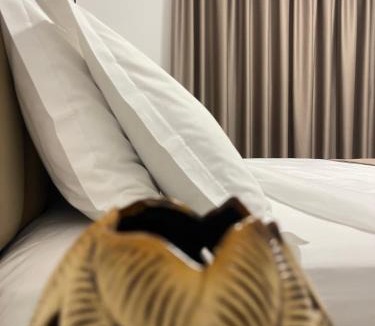 Tirana Hotel | Vibe Comfort Tirana