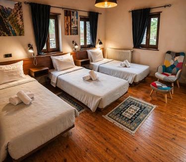 Zagori Hotel | Vikos View